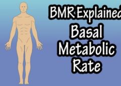 basal metabolic